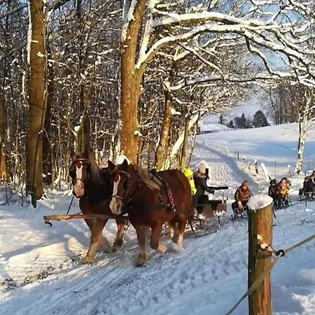 Na Poziomkowej Koscierzyna